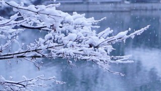 冬迎小雪至