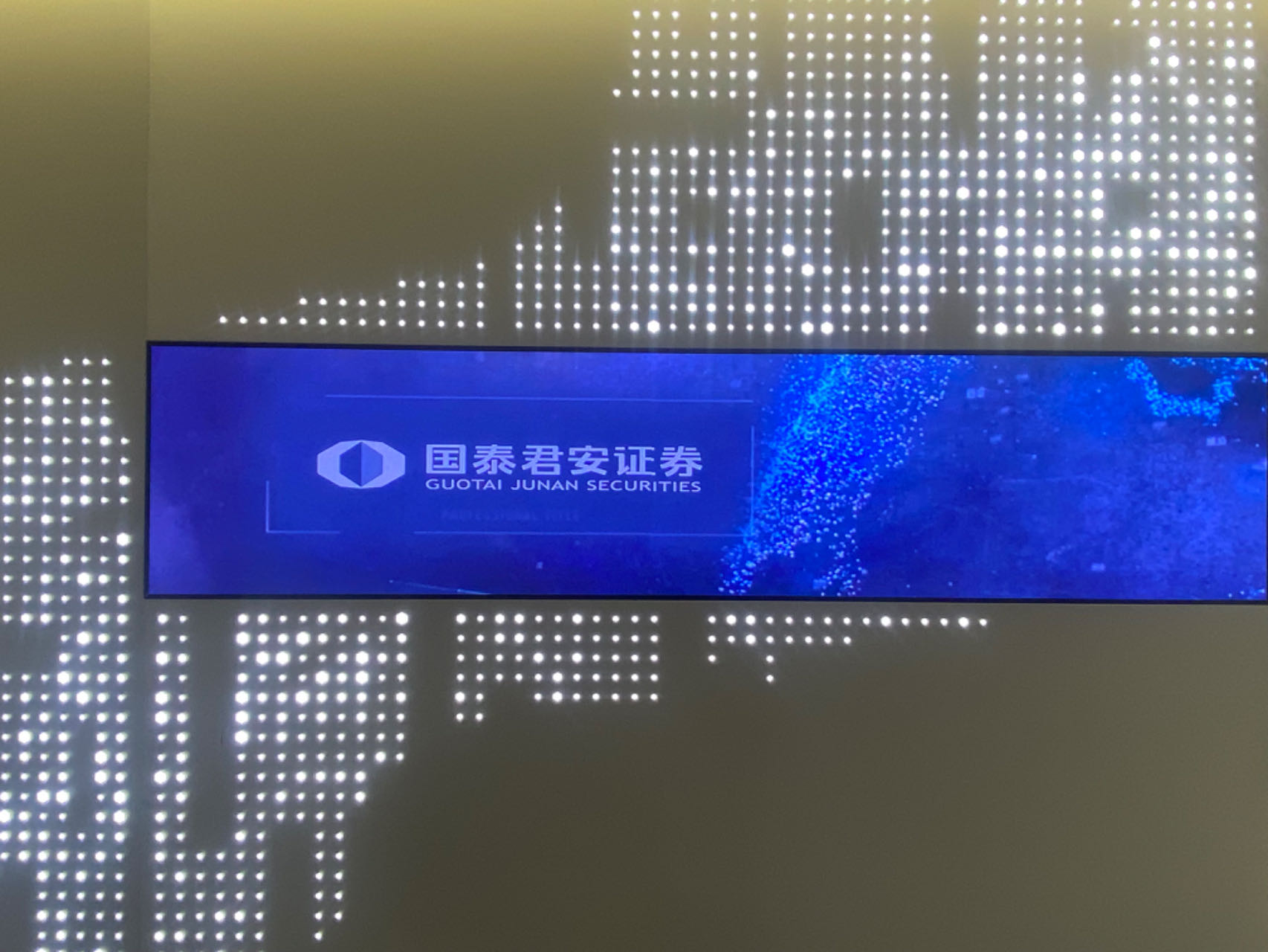 国泰君安证券股份有限公司是目前国内规模最大、经营范围最广、经营业绩最好、综合实力最强的证券公司之一。2004年起，已连续6年位居中国券商品牌价值首位，2008年成为中国品牌价值百强中首家进入、也是唯一