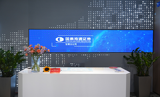 国泰君安证券股份有限公司是目前国内规模最大、经营范围最广、经营业绩最好、综合实力最强的证券公司之一。2004年起，已连续6年位居中国券商品牌价值首位，2008年成为中国品牌价值百强中首家进入、也是唯一