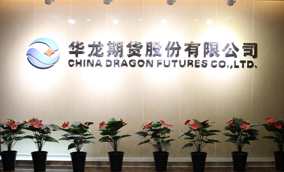 华龙期货股份有限公司(以下简称华龙期货),注册资本5亿元。公司成立于1992年11月，是中国最早成立的期货公司之一,也是目前唯一一家注册地在甘肃省的期货公司。公司经中国证监会批准成立，是上海、郑州、大